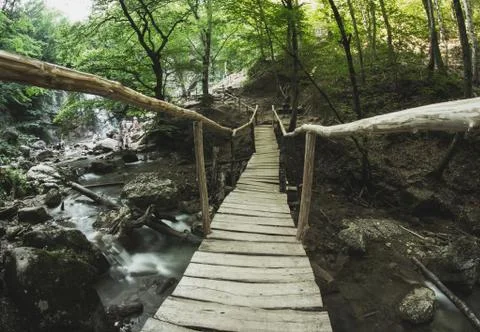 Сomposition Stock Photos