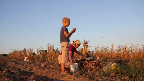 Son with mother in the sunset Stock-Footage 89028000