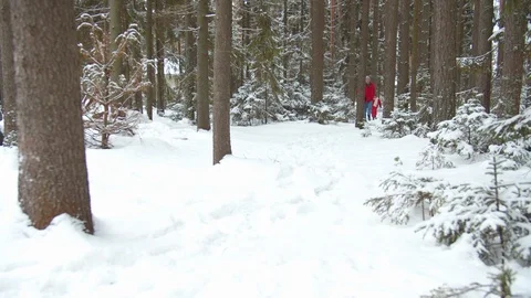 Son plays with dad among the snowy trees. View Stock Footage 129101096