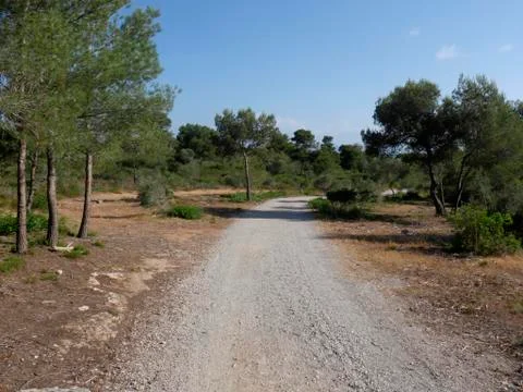 Son Real, Majorca Stock Photos