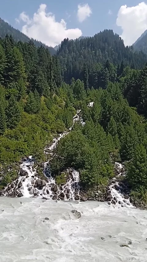 Sonamarg Kashmir: Glacial River Through Pine Forest Himalayas 4K Stock Footage 337920527