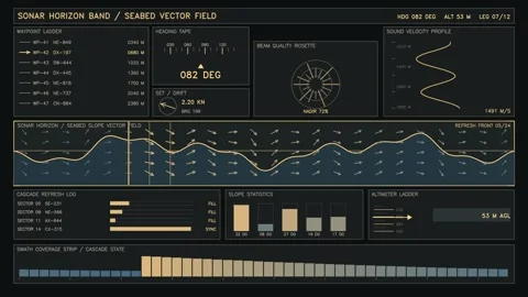 Sonar data display with seabed vector field information Stock Footage 344921581