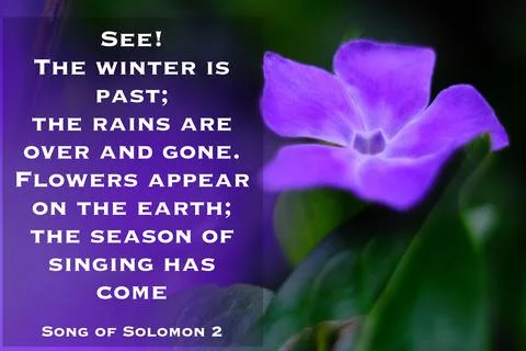 Song of Solomon 2 Stock Illustration