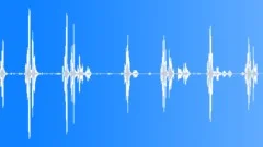 Song Thrush 2Sound Effect