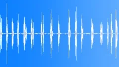 Song Thrush 3 Sound Effect