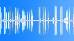 Song Thrush SingingSound Effect
