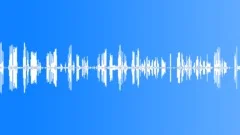 Song Thrush Sound Effect