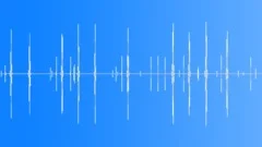 Songbird singing isolated loop Sound Effect