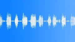 SongbirdSound Effect