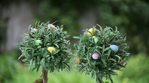 Songbird on tree with Easter eggs Stock Footage 650921