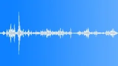 Songbirds and crow calling Sound Effect