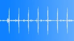 Songbirds at the edge of the forest. Atmosphere Sound Effect
