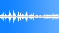 Songbirds in the Forest Sound Effect