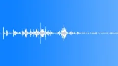 Songbirds sing and chirpSound Effect