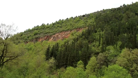 The songs of nature Stock Footage 107646618