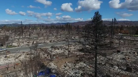 Sonoma County Fire Stock-Footage 82844165