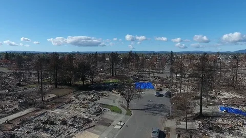 Sonoma County Fire Stock-Footage 82844198