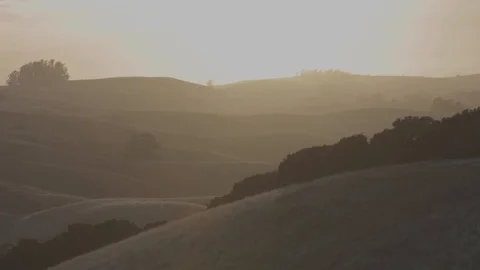 Sonoma County Sunset 4k (C log + Grade) 動画素材 91509405