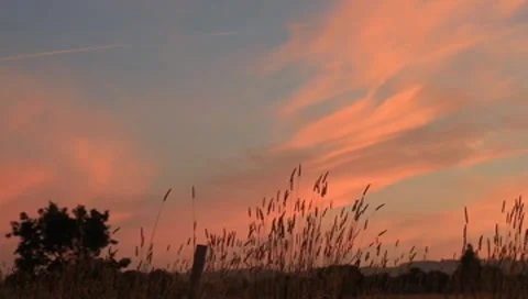 Sonoma Sunset 動画素材 8778079