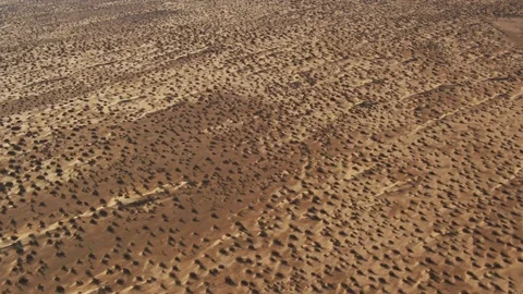 Sonora desert1 Stock Footage 79273080