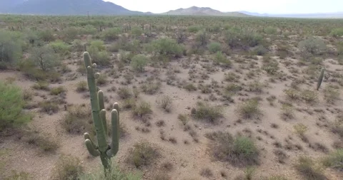 Sonoran Desert 2 Video stock 277297557