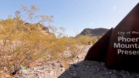 Sonoran Desert Stock Footage 99671458