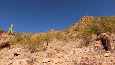 Sonoran Desert Stock Footage 99671481