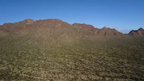 Sonoran Desert Landscape Stock Footage 208872999