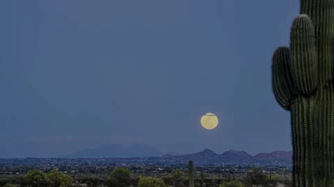 Sonoran Desert Moonrise Stock Footage 333605038