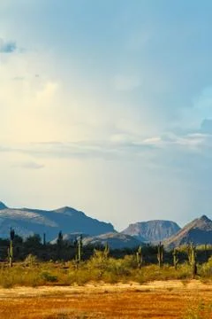 Sonoran Desert 写真素材