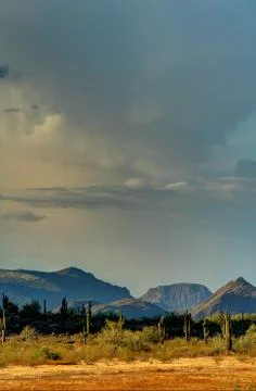 Sonoran Desert Photos