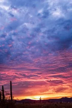 Sonoran Desert Sunset with Clouds Stock Photos