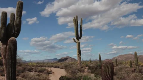 Sonoran Desert Time-Lapse Captured Near Hiking Trail In Scottsdale Stock Footage 332017483