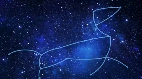 Сonstellation Canis Major (CMa) 動画素材 67604852