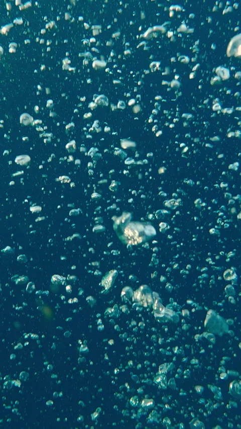 Сontinuous stream of small air bubbles flowing upward from deep sea Stock Footage 313935868