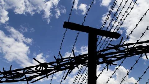 Сontour of barbed wire Stock Photos