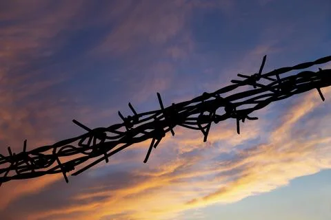 Сontour of barbed wire Foto stock