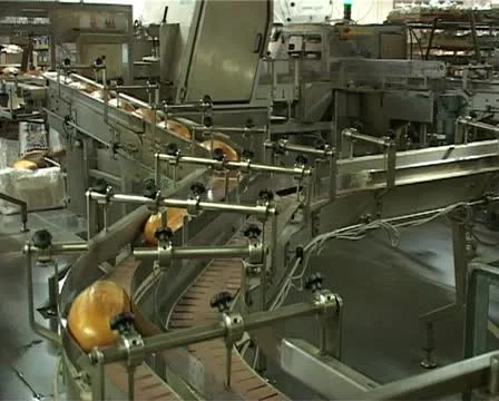 Сonveyor with long loafs Stock-Footage 12159559