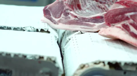 Сonveyor Meat Processing Plant Stock Footage 46373997