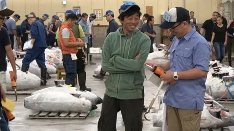 Sony 4K Stock Footage 104903611