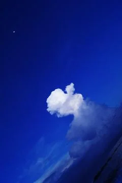 Sony dsc Illustrazione stock