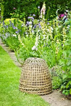 Sony dsc Stock Photos