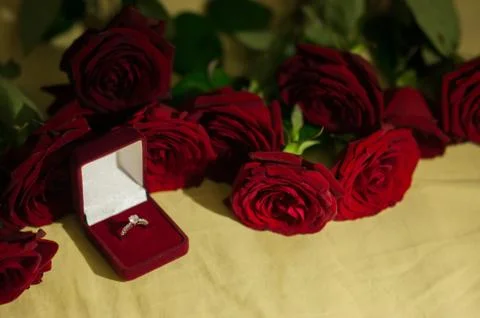 SONY DSC Stock Photos