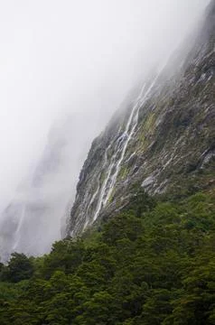 SONY DSC Stock Photos