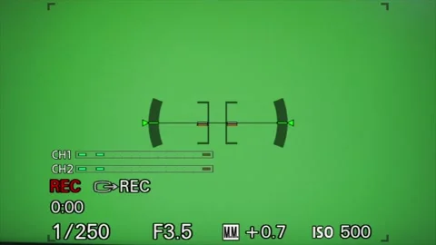 Sony Viewfinder Frame Overlay Camera Rec... | Stock Video | Pond5