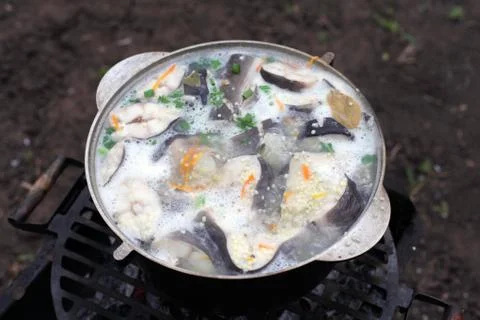 Сooking fish soup on the fire Stock Photos