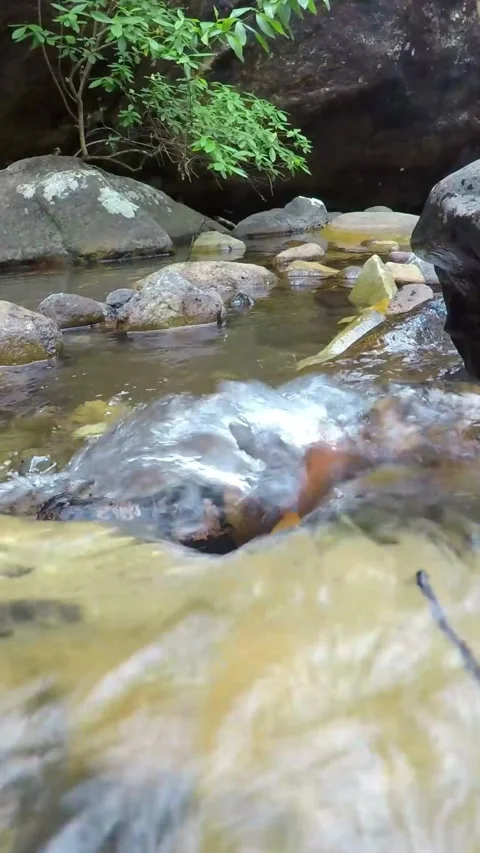 Soothing River Stream Sounds for Deep Relaxation Stock Footage 274687776