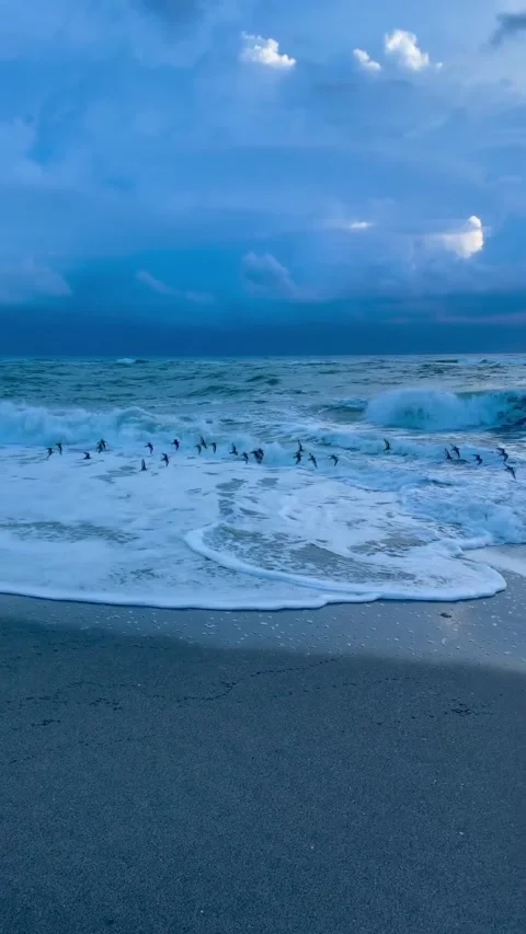 A soothing view on the beach Stock Footage 321597443