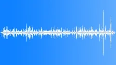 Sooty Tern Breeding ColonySound Effect
