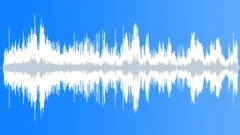 Sooty Tern Calls CU Sound Effect